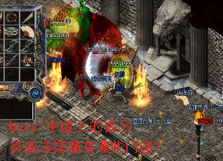 haosf中道士的极品装备选择都有哪些门道? haosf中道士的极品装备选择都有哪些门道?