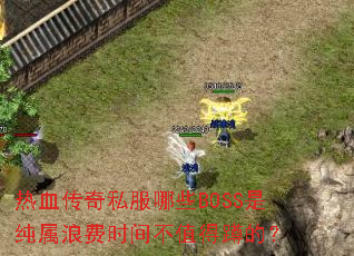 热血传奇私服哪些BOSS是纯属浪费时间不值得蹲的? 热血传奇私服哪些BOSS是纯属浪费时间不值得蹲的?