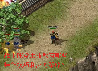 战士PK常用技能有哪些操作技巧和应对策略? 战士PK常用技能有哪些操作技巧和应对策略?