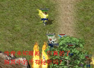 传奇未知暗殿:你真的了解其中的所有秘密吗? 传奇未知暗殿:你真的了解其中的所有秘密吗?