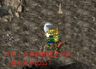 ����С����μ��������ţ�ŭˢ����BOSS��