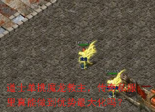 道士单挑魔龙教主,传奇私服里真能做到优势最大化吗? 道士单挑魔龙教主,传奇私服里真能做到优势最大化吗?