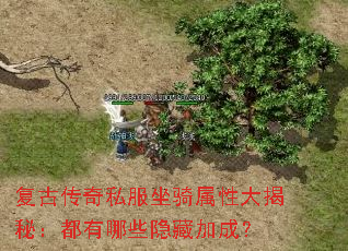 复古传奇私服坐骑属性大揭秘:都有哪些隐藏加成? 复古传奇私服坐骑属性大揭秘:都有哪些隐藏加成?