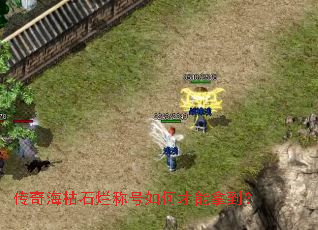 ���溣��ʯ�óƺ���β����õ���