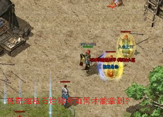 ���溣��ʯ�óƺ���β����õ���