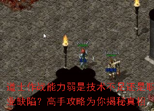 道士作战能力弱是技术不足还是职业缺陷?高手攻略为你揭秘真相 道士作战能力弱是技术不足还是职业缺陷?高手攻略为你揭秘真相