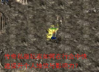 传奇私服玩家如何在行会中快速提升个人地位与影响力? 传奇私服玩家如何在行会中快速提升个人地位与影响力?