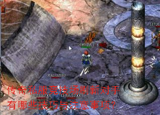 传奇私服竞技场刷新对手有哪些技巧与注意事项? 传奇私服竞技场刷新对手有哪些技巧与注意事项?