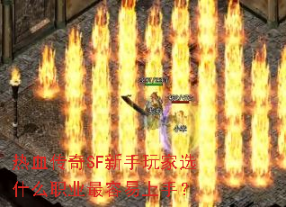 热血传奇SF新手玩家选什么职业最容易上手? 热血传奇SF新手玩家选什么职业最容易上手?
