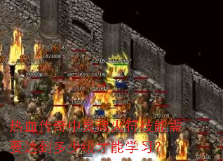热血传奇中灵魂火符技能需要达到多少级才能学习? 热血传奇中灵魂火符技能需要达到多少级才能学习?
