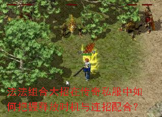 法法组合大招在传奇私服中如何把握释放时机与连招配合? 法法组合大招在传奇私服中如何把握释放时机与连招配合?