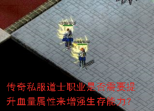 传奇私服道士职业是否需要提升血量属性来增强生存能力? 传奇私服道士职业是否需要提升血量属性来增强生存能力?