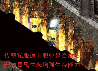 传奇私服道士职业是否需要提升血量属性来增强生存能力? 传奇私服道士职业是否需要提升血量属性来增强生存能力?