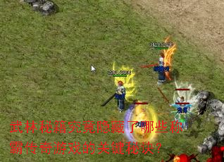 武林秘籍究竟隐藏了哪些称霸传奇游戏的关键秘诀? 武林秘籍究竟隐藏了哪些称霸传奇游戏的关键秘诀?