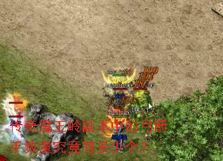 传奇魔王岭副本中的弓箭手数量究竟有多少个? 传奇魔王岭副本中的弓箭手数量究竟有多少个?