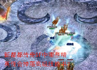 新都都传奇SF中哪些精英怪会掉落高级技能书? 新都都传奇SF中哪些精英怪会掉落高级技能书?