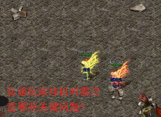 私服玩家挂机时需注意哪些关键问题? 私服玩家挂机时需注意哪些关键问题?