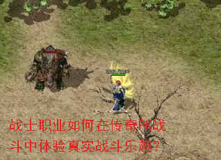 战士职业如何在传奇PK战斗中体验真实战斗乐趣? 战士职业如何在传奇PK战斗中体验真实战斗乐趣?