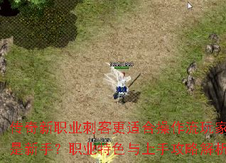 传奇新职业刺客更适合操作流玩家还是新手?职业特色与上手攻略解析 传奇新职业刺客更适合操作流玩家还是新手?职业特色与上手攻略解析