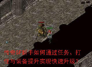 ����SF�������ͨ�����񡢴����װ������ʵ�ֿ���������
