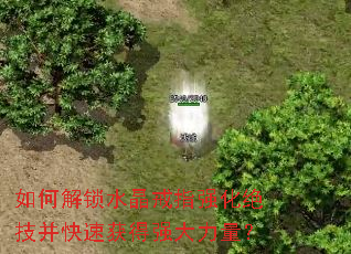 如何解锁水晶戒指强化绝技并快速获得强大力量? 如何解锁水晶戒指强化绝技并快速获得强大力量?