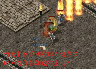 传奇刺客公测在即?这些攻略问题你都知道答案吗? 传奇刺客公测在即?这些攻略问题你都知道答案吗?