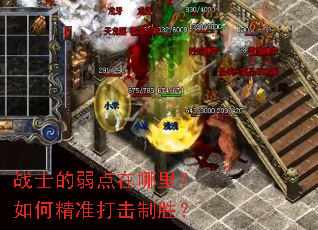 战士的弱点在哪里?如何精准打击制胜? 战士的弱点在哪里?如何精准打击制胜?