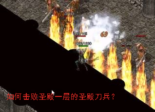 如何击败圣殿一层的圣殿刀兵? 如何击败圣殿一层的圣殿刀兵?