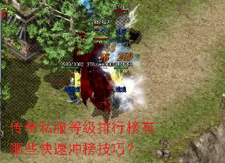 传奇私服等级排行榜有哪些快速冲榜技巧? 传奇私服等级排行榜有哪些快速冲榜技巧?