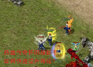 ��Ѫ���滳�ɷ�������ο��������ȼ���