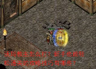 沃玛教主怎么打?新手也能轻松通关的攻略技巧有哪些? 沃玛教主怎么打?新手也能轻松通关的攻略技巧有哪些?