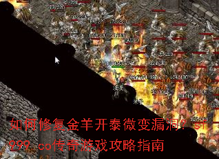 如何修复金羊开泰微变漏洞?sf999.co传奇游戏攻略指南 如何修复金羊开泰微变漏洞?sf999.co传奇游戏攻略指南