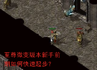 至尊微变版本新手前期如何快速起步? 至尊微变版本新手前期如何快速起步?