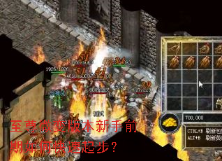 至尊微变版本新手前期如何快速起步? 至尊微变版本新手前期如何快速起步?