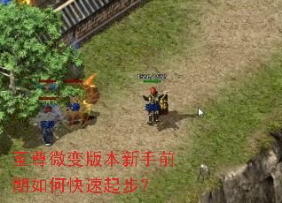 至尊微变版本新手前期如何快速起步? 至尊微变版本新手前期如何快速起步?