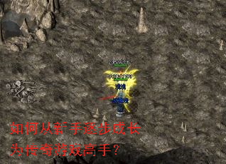 如何从新手逐步成长为传奇游戏高手? 如何从新手逐步成长为传奇游戏高手?