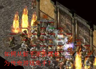 如何从新手逐步成长为传奇游戏高手? 如何从新手逐步成长为传奇游戏高手?