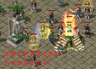如何从新手逐步成长为传奇游戏高手? 如何从新手逐步成长为传奇游戏高手?