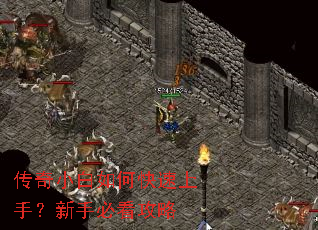 传奇小白如何快速上手?新手必看攻略 传奇小白如何快速上手?新手必看攻略