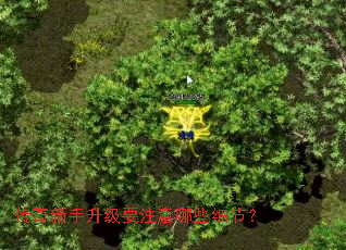 传奇新手升级要注意哪些细节? 传奇新手升级要注意哪些细节?