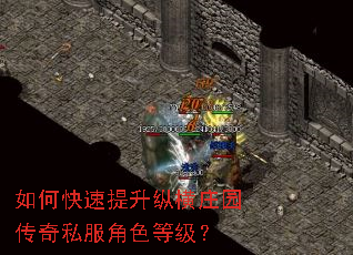 如何快速提升纵横庄园传奇私服角色等级? 如何快速提升纵横庄园传奇私服角色等级?