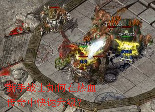 新手战士如何在热血传奇中快速升级? 新手战士如何在热血传奇中快速升级?