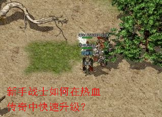 新手战士如何在热血传奇中快速升级? 新手战士如何在热血传奇中快速升级?