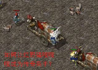 如何让红野猪嗖嗖嗖成为传奇高手? 如何让红野猪嗖嗖嗖成为传奇高手?