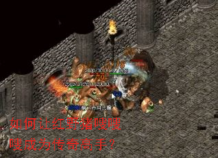如何让红野猪嗖嗖嗖成为传奇高手? 如何让红野猪嗖嗖嗖成为传奇高手?