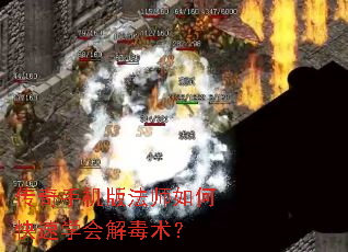传奇手机版法师如何快速学会解毒术? 传奇手机版法师如何快速学会解毒术?