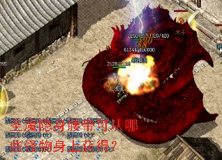 圣魔隐身腰带可从哪些怪物身上获得? 圣魔隐身腰带可从哪些怪物身上获得?
