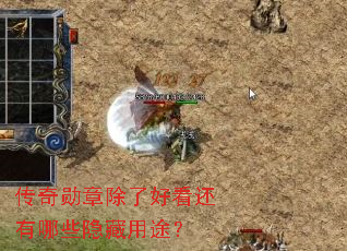 ����ѫ�³��˺ÿ�������Щ������;��