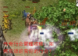 传奇行会管理攻略:如何高效运营你的行会? 传奇行会管理攻略:如何高效运营你的行会?