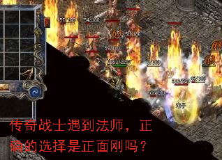 ����սʿ������ʦ����ȷ��ѡ�����������